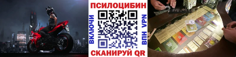 Псилоцибиновые грибы Cubensis Купить закладки Сальск